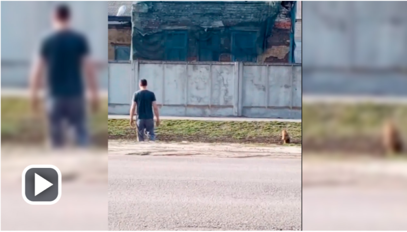 2026-03-29_15-04-33 фото: Богучар Чат