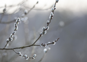 Фото: Freepik погода