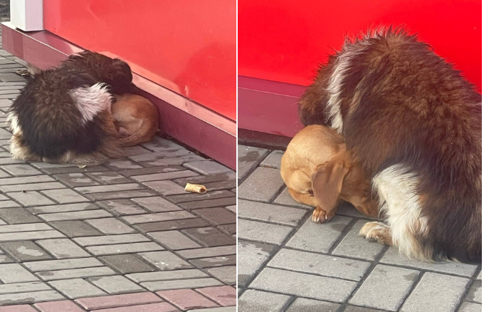 2025-10-31_16-16-49 фото Регион 36