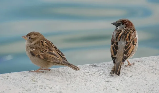 фото freepik.com